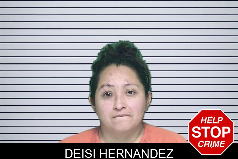 Deisi Hernandez mugshot – Appling County , Georgia Deisi Hernandez mugshot