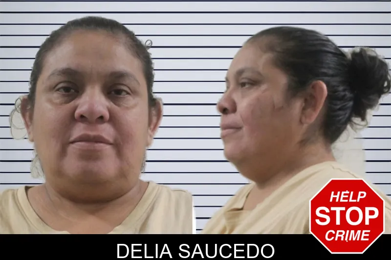 Delia Saucedo mugshot – Houston County , Georgia Delia Saucedo mugshot