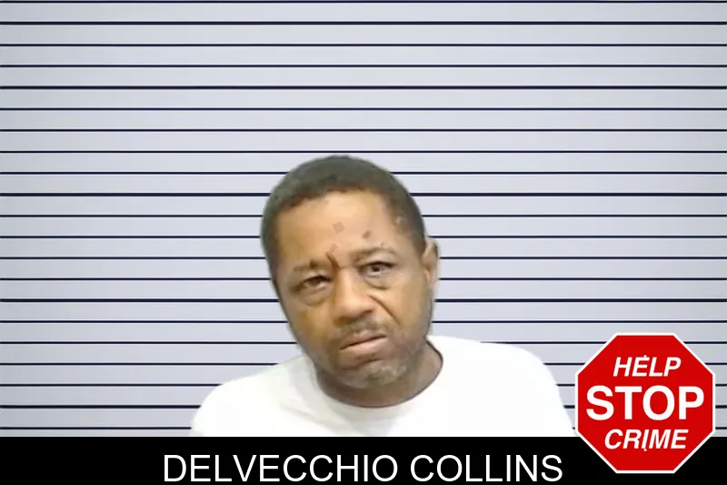 Delvecchio Collins mugshot