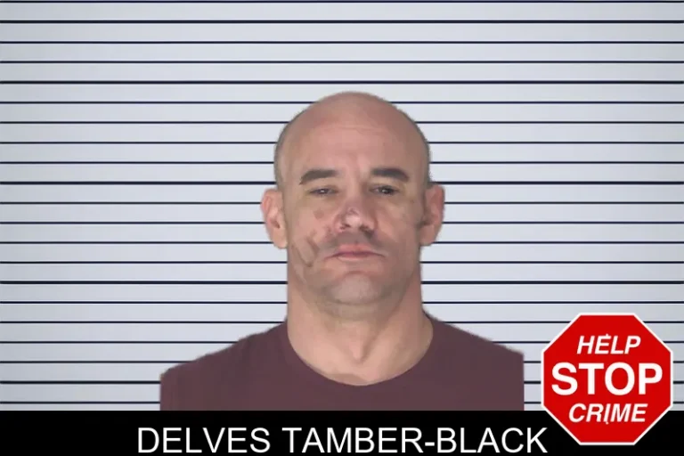 Delves Tamber-Black