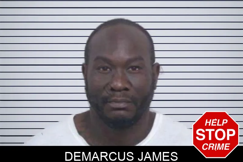 Demarcus James mugshot