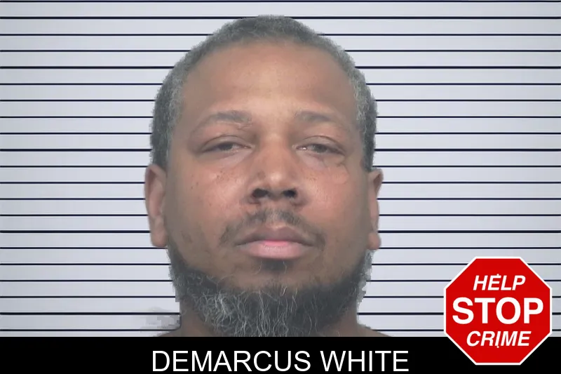 Demarcus White mugshot – Gwinnett County , Georgia Demarcus White mugshot