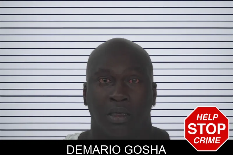 Demario Gosha mugshot