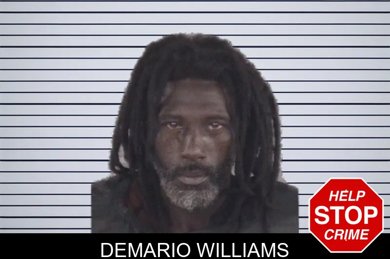 Demario Williams mugshot