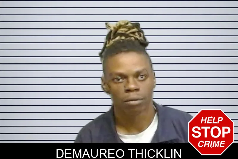 Demaureo Thicklin mugshot