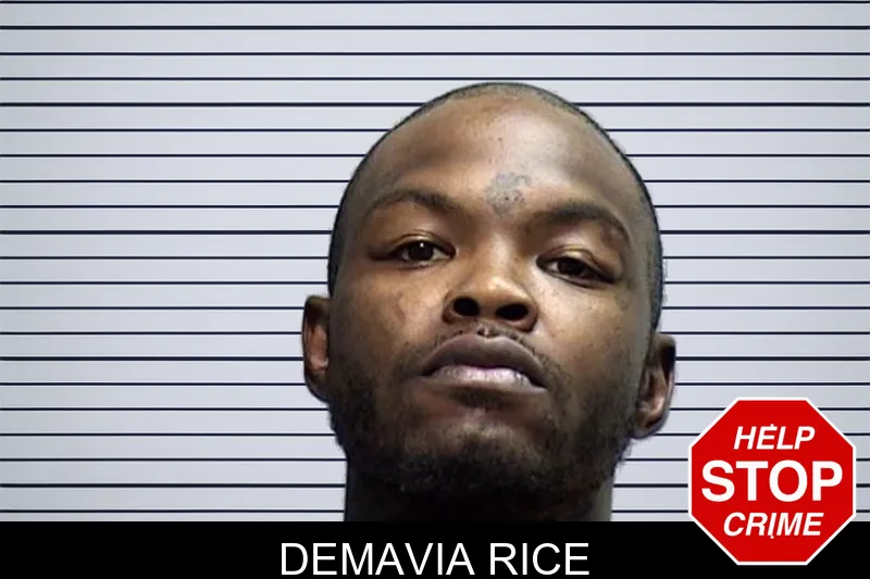 Demavia Rice mugshot