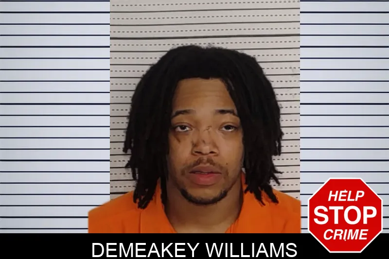 Demeakey Williams mugshot – Rockdale County , Georgia Demeakey Williams mugshot