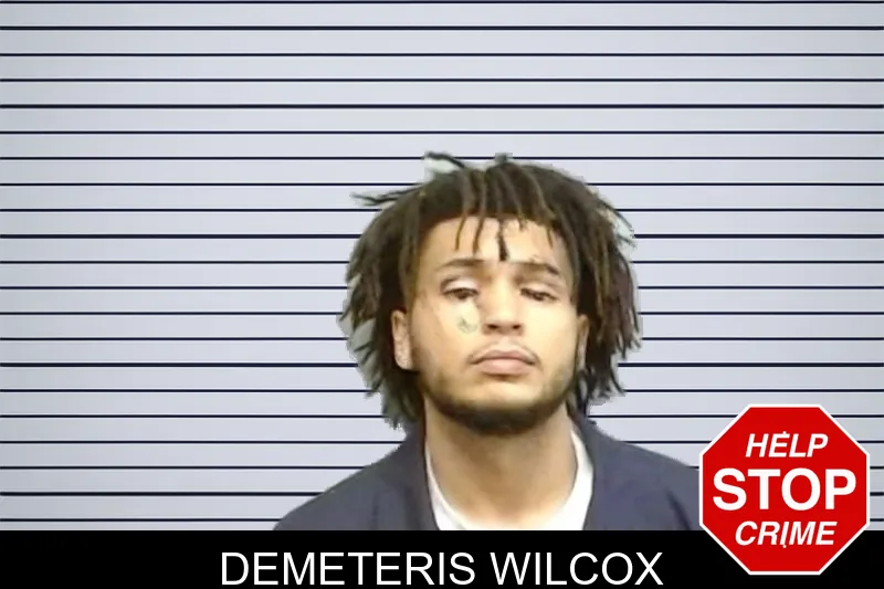 Demeteris Wilcox mugshot