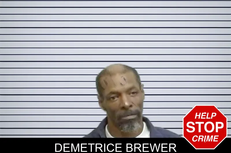 Demetrice Brewer mugshot