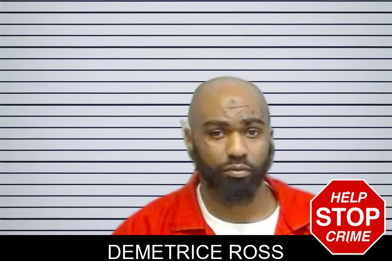 Demetrice Ross mugshot