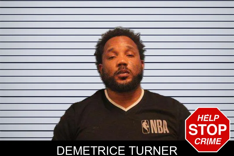 Demetrice Turner mugshot