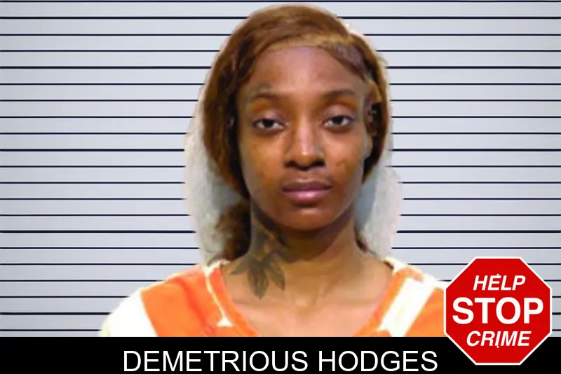 Demetrious Hodges mugshot – Bartow County , Georgia Demetrious Hodges mugshot