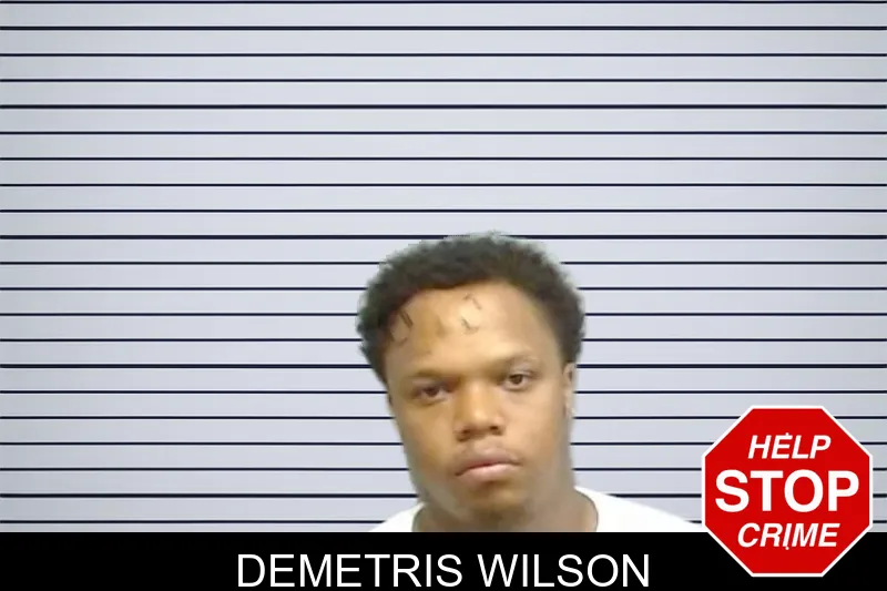 Demetris Wilson mugshot – Fulton County , Georgia Demetris Wilson mugshot