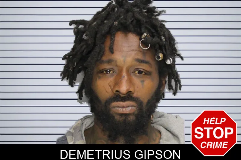 Demetrius Gipson mugshot