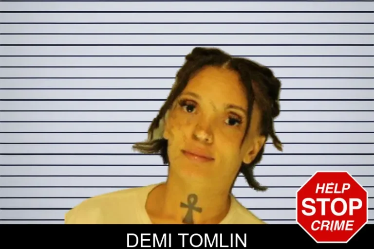 Demi Tomlin mugshot – Hall County , Georgia Demi Tomlin