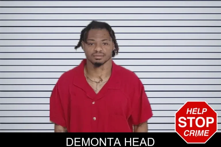 Demonta Head
