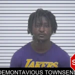 Demontavious Townsend mugshot