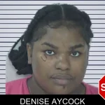 Denise Aycock mugshot