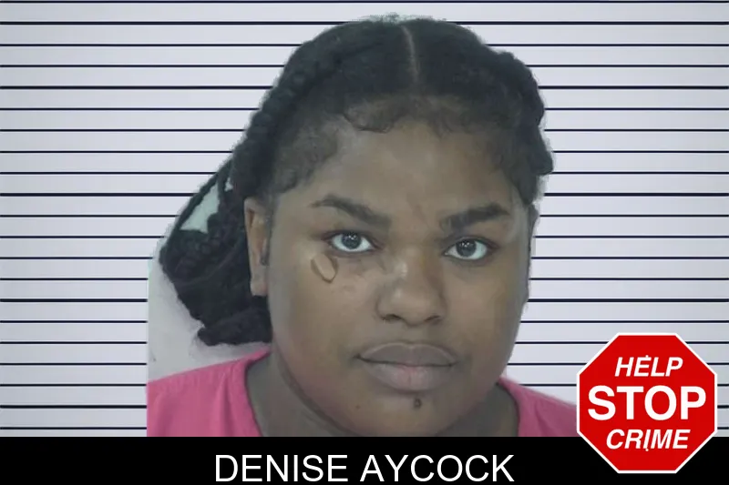 Denise Aycock mugshot