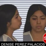 Denise Perez Palacios mugshot – Barrow County , Georgia Denise Perez Palacios mugshot