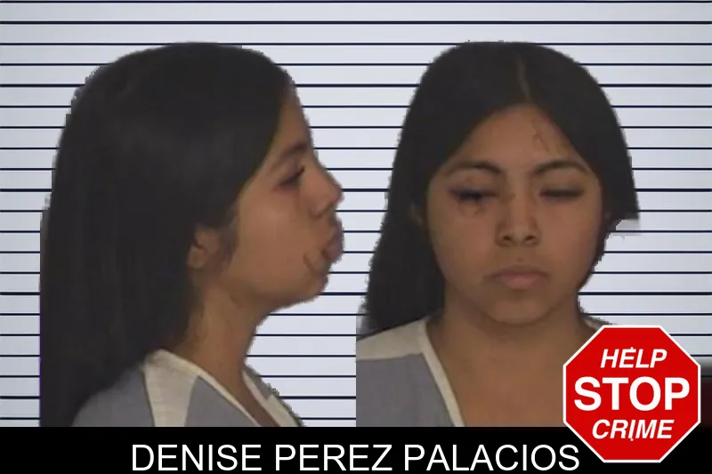 Denise Perez Palacios mugshot – Barrow County , Georgia Denise Perez Palacios mugshot