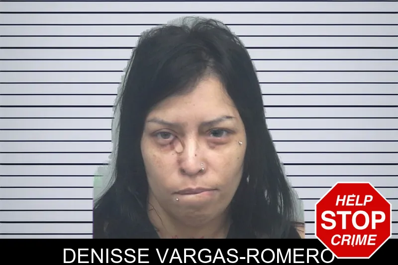 Denisse Vargas-Romero mugshot – Gwinnett County , Georgia Denisse Vargas-Romero mugshot