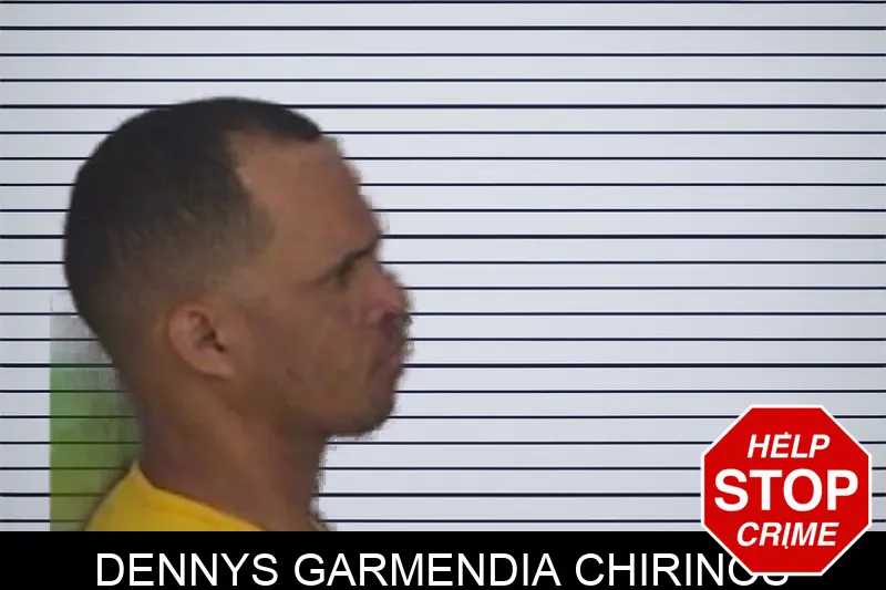 Dennys Garmendia Chirinos mugshot