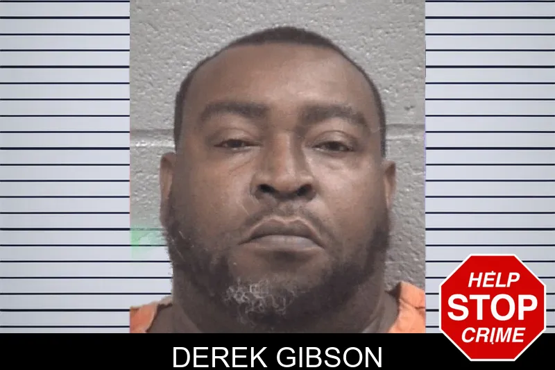 Derek Gibson mugshot