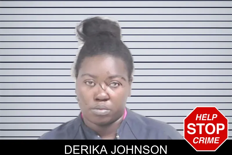 Derika Johnson mugshot – Lowndes County , Georgia Derika Johnson mugshot