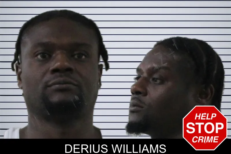 Derius Williams mugshot