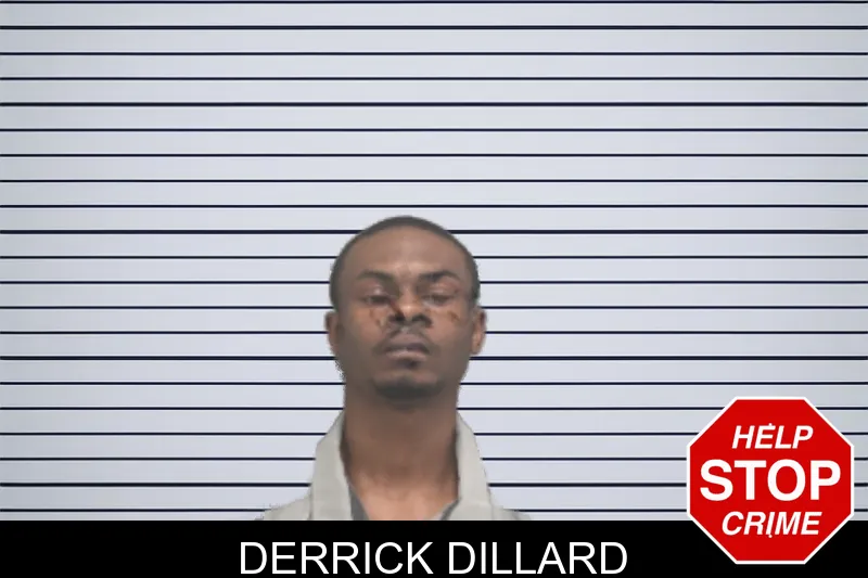 Derrick Dillard mugshot