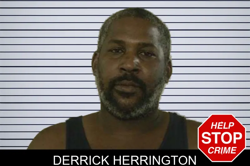 Derrick Herrington mugshot – Liberty County , Georgia Derrick Herrington mugshot
