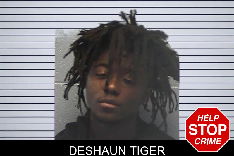 Deshaun Tiger mugshot – Ware County , Georgia Deshaun Tiger mugshot