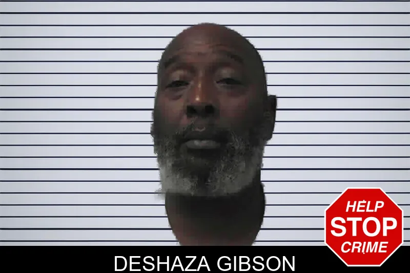 Deshaza Gibson mugshot – Ware County , Georgia Deshaza Gibson mugshot