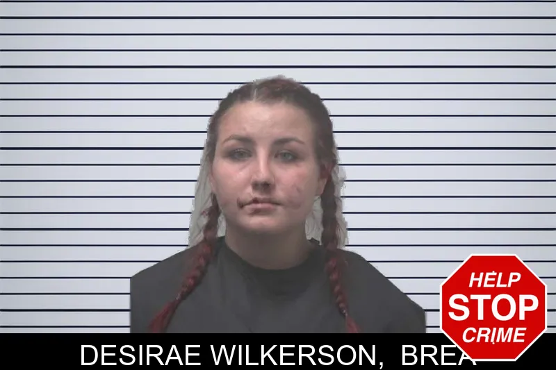 Desirae Wilkerson, Brea mugshot