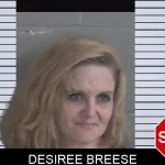 Desiree Breese mugshot – Brantley County , Georgia Desiree Breese mugshot