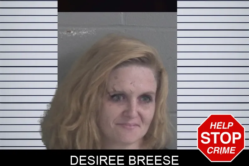 Desiree Breese mugshot – Brantley County , Georgia Desiree Breese mugshot