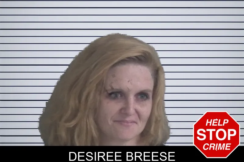 Desiree Breese mugshot – Brantley County , Georgia Desiree Breese mugshot