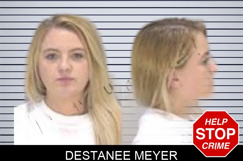 Destanee Meyer mugshot