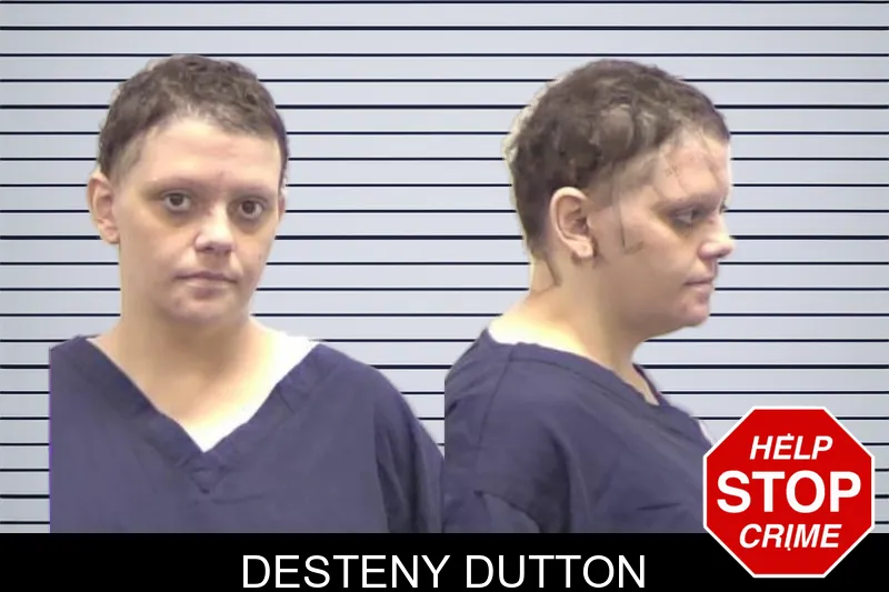 Desteny Dutton mugshot