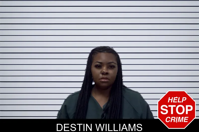 Destin Williams mugshot – Irwin County , Georgia Destin Williams mugshot