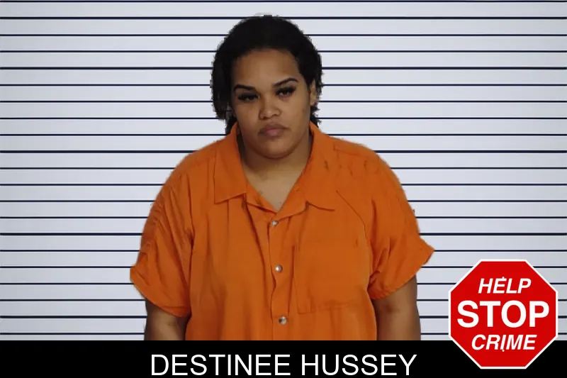 Destinee Hussey mugshot