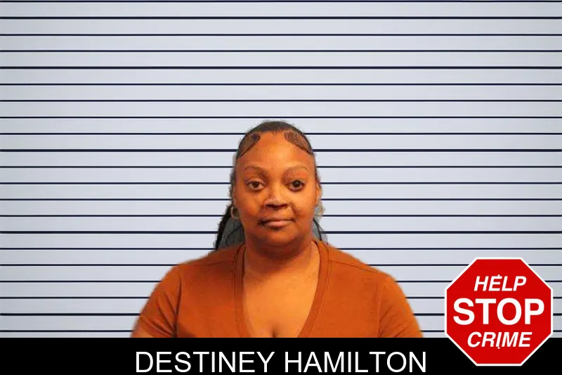 Destiney Hamilton mugshot