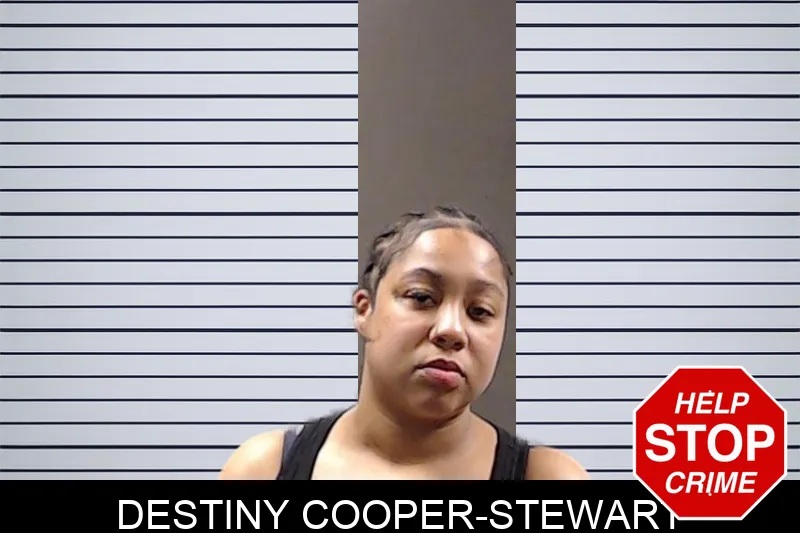 Destiny Cooper-Stewart mugshot – DeKalb County , Georgia Destiny Cooper-Stewart mugshot