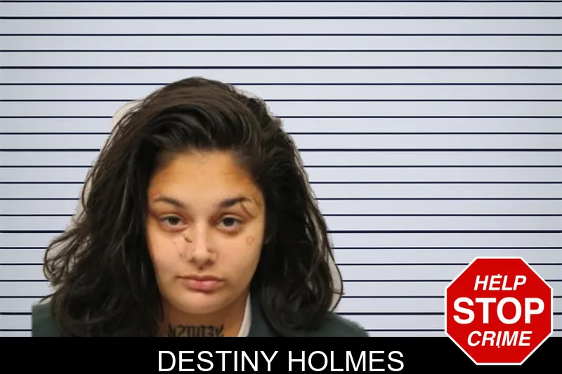 Destiny Holmes mugshot
