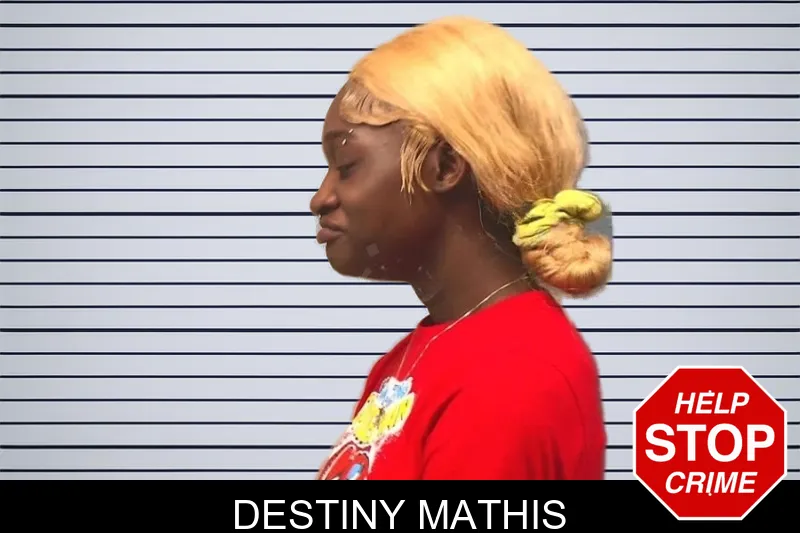 Destiny Mathis mugshot – Bleckley County , Georgia Destiny Mathis mugshot