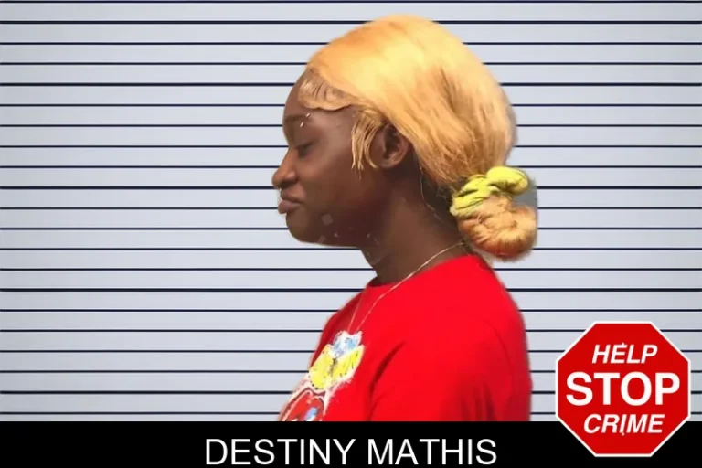 Destiny Mathis mugshot – Bleckley County , Georgia Destiny Mathis