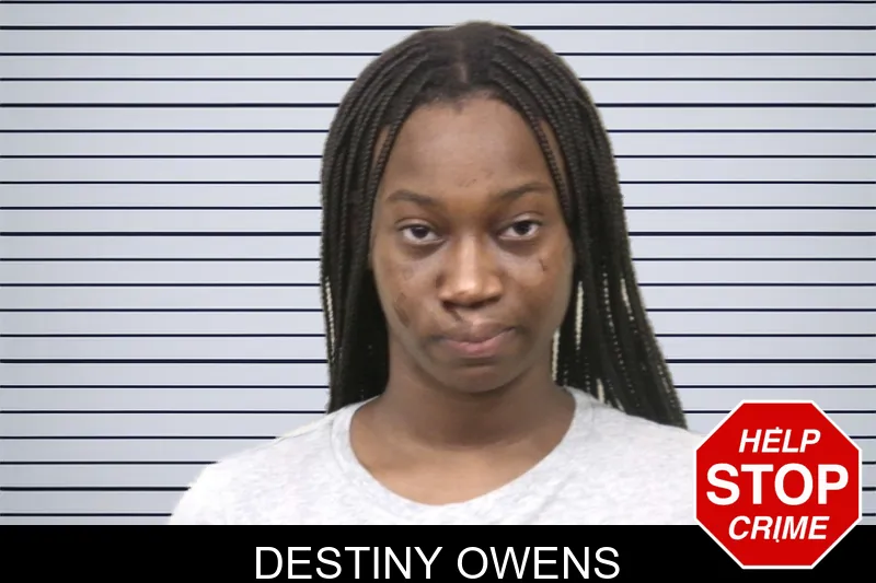 Destiny Owens mugshot – Bulloch County , Georgia Destiny Owens mugshot