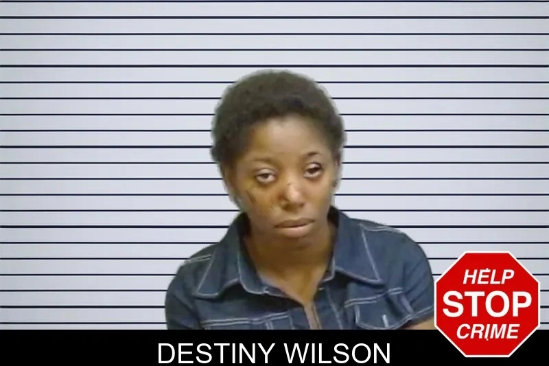 Destiny Wilson mugshot – Fulton County , Georgia Destiny Wilson mugshot