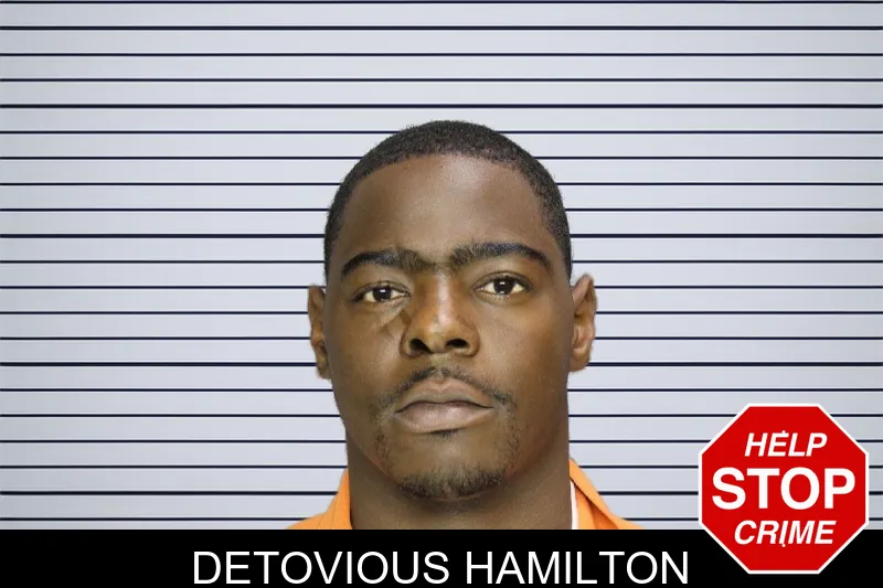 Detovious Hamilton mugshot